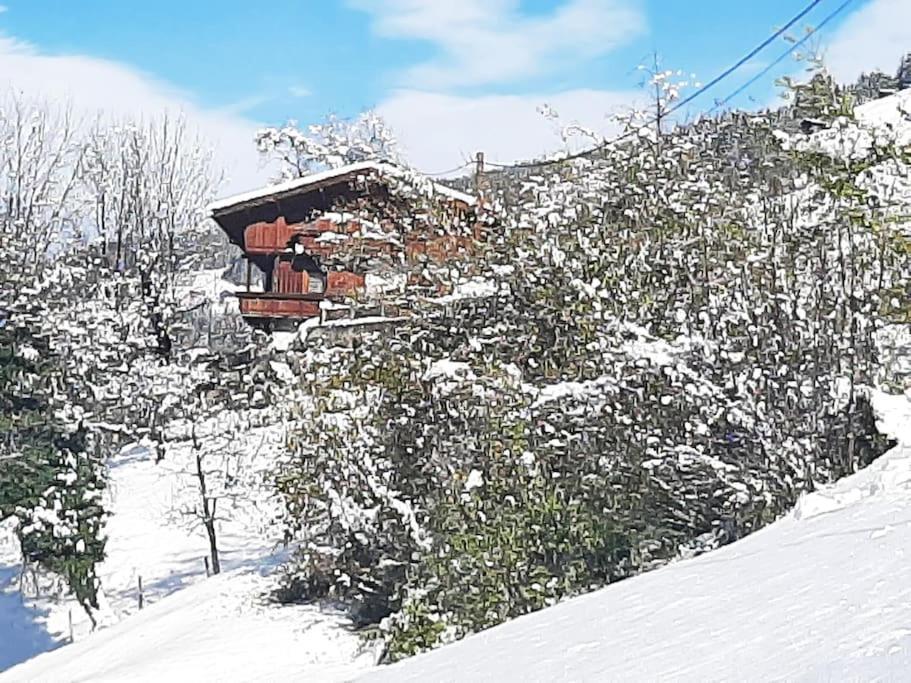 Mountain Chalet Mayrhofen Luaran gambar